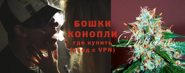 прущие грибы Волосово