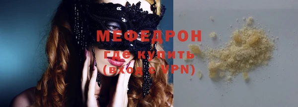 индика Вяземский