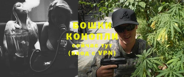 прущие грибы Волосово