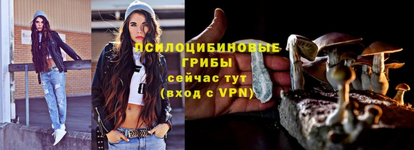 прущие грибы Волосово