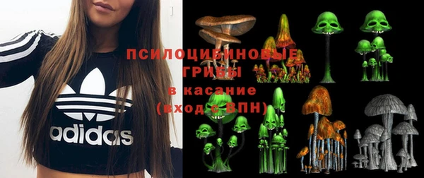прущие грибы Волосово