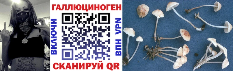 Псилоцибиновые грибы ЛСД  Лихославль 